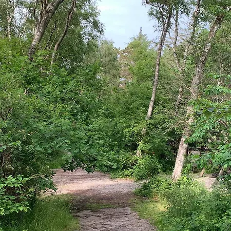 20 Person In Feriehus